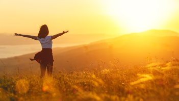 Charpente et menuiserie, Étang- Salé, BOISCOM